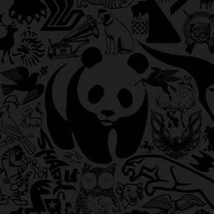 Meet your Posher, Tim